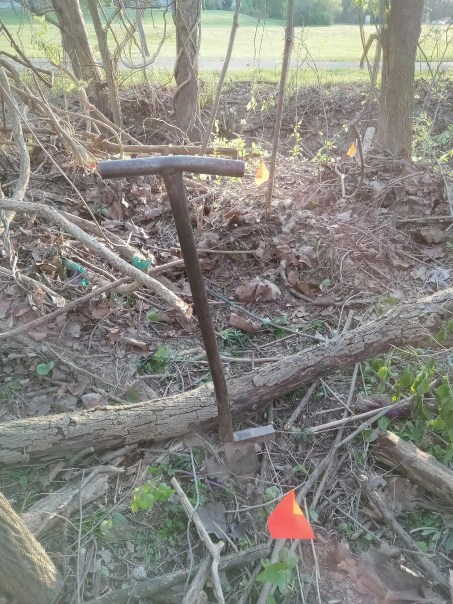 Hague Nature Preserve Gallery