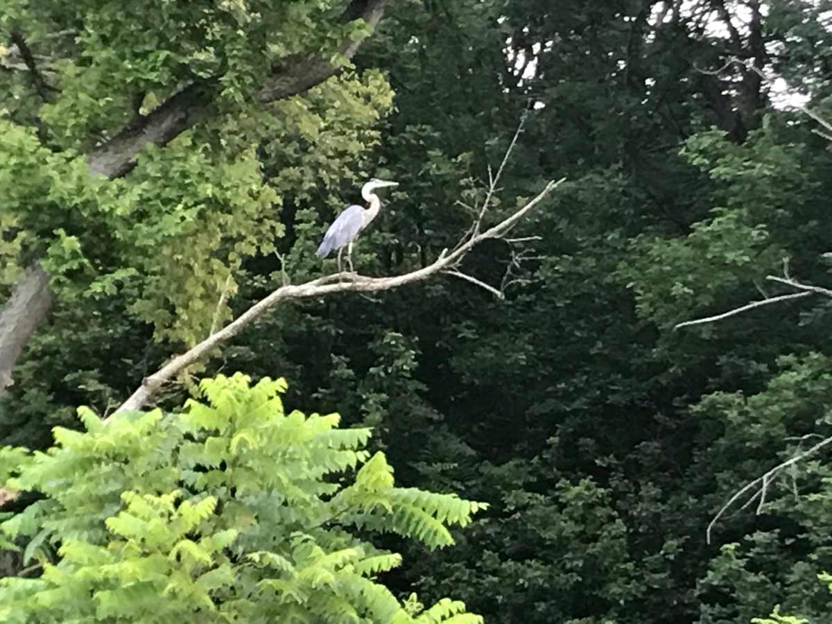 Hague Nature Preserve Gallery