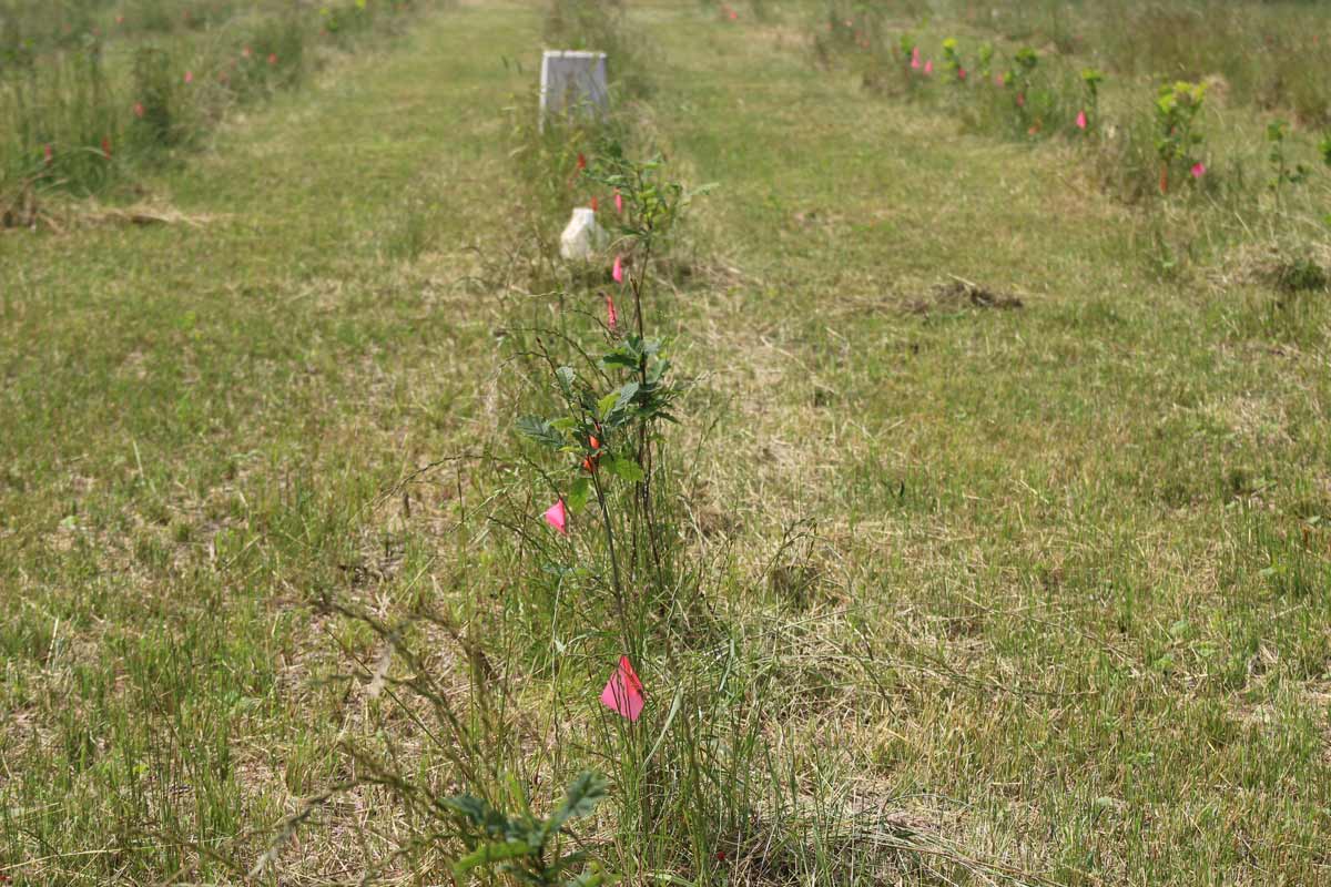 Hague Nature Preserve Gallery