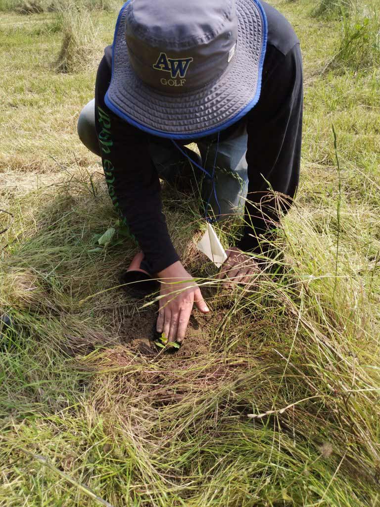 Hague Nature Preserve Gallery