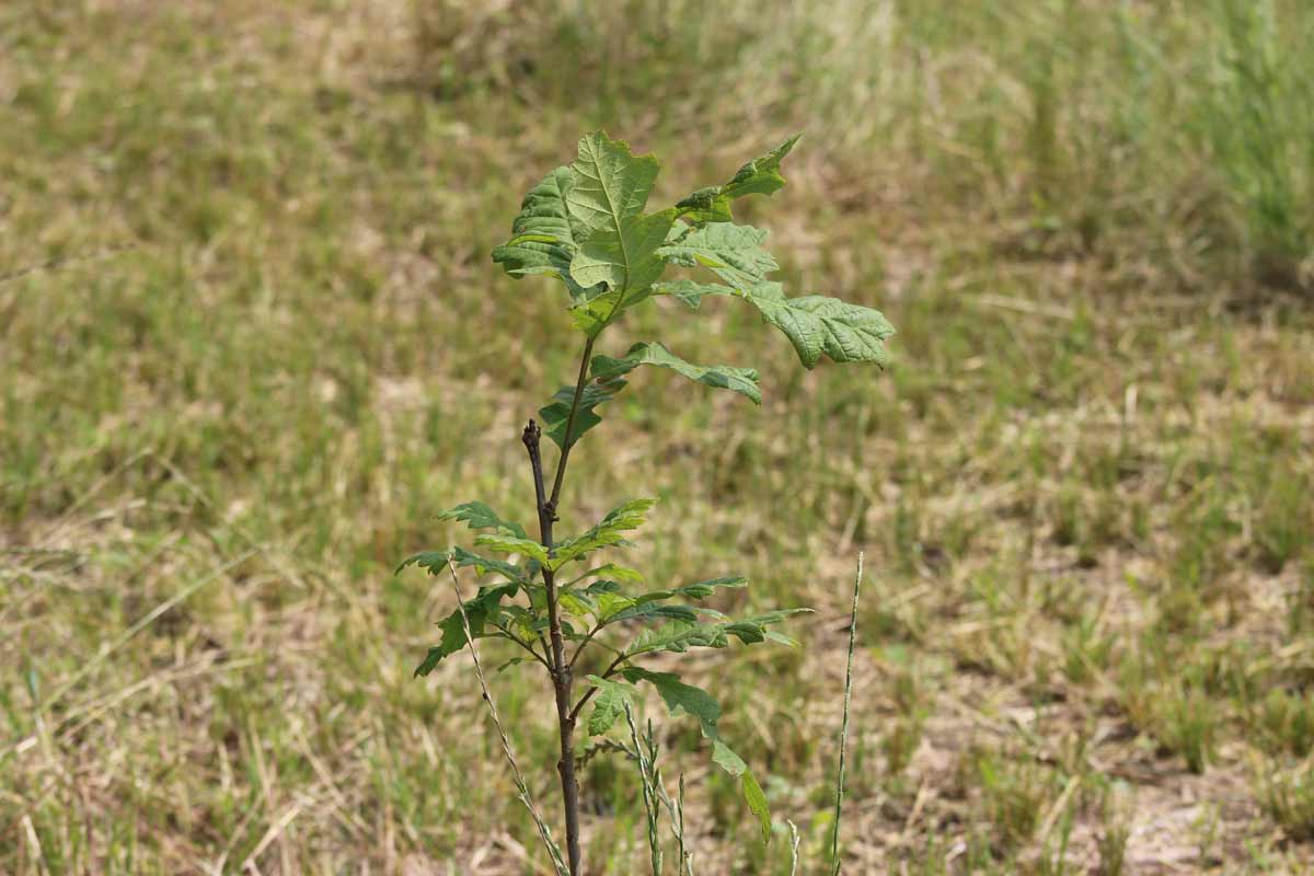 Hague Nature Preserve Gallery