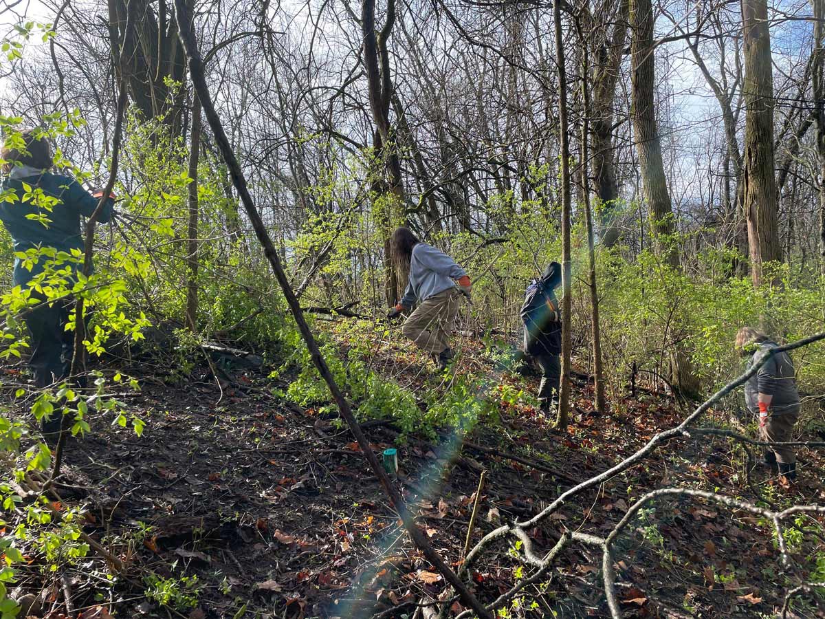 Hague Nature Preserve Gallery