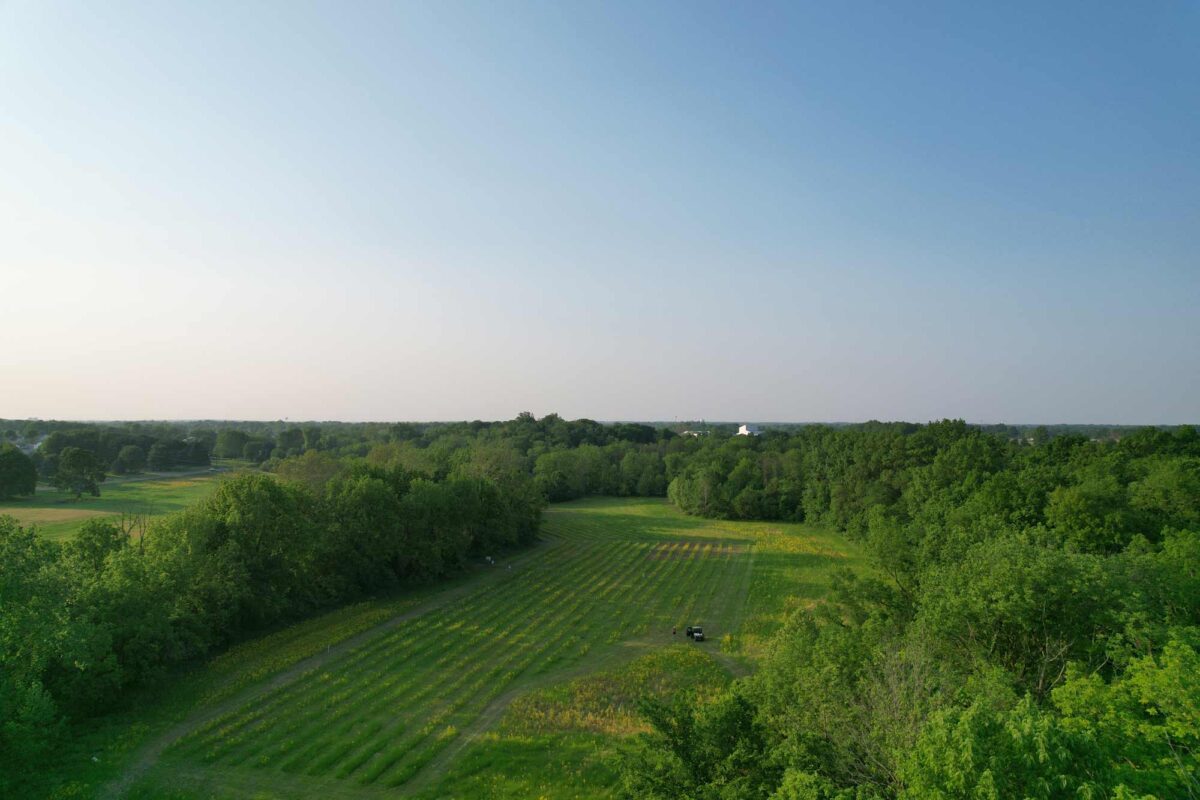 Hague Nature Preserve Gallery