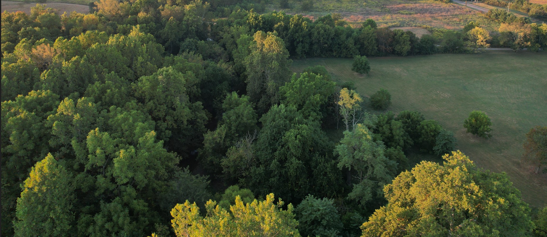 Hague Nature Preserve Gallery