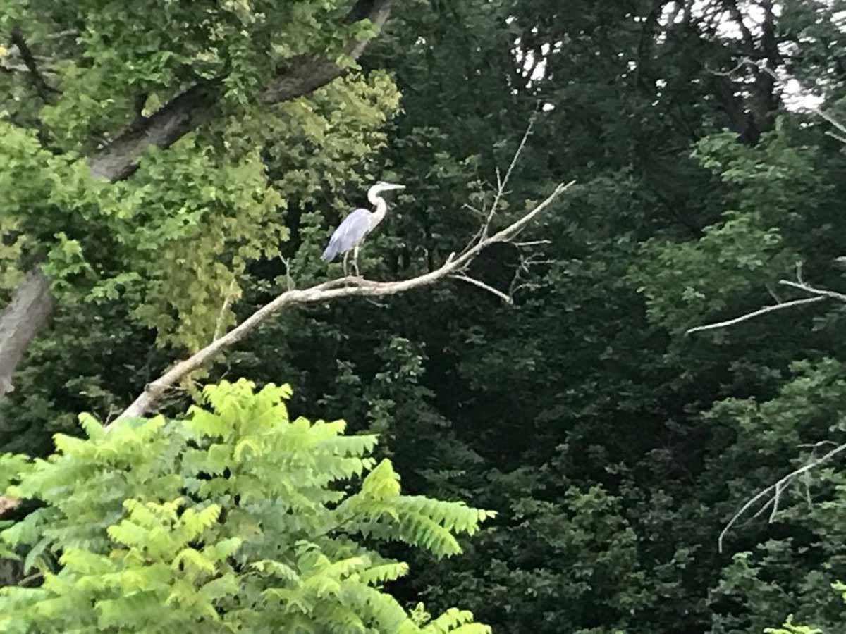 Hague Nature Preserve Gallery