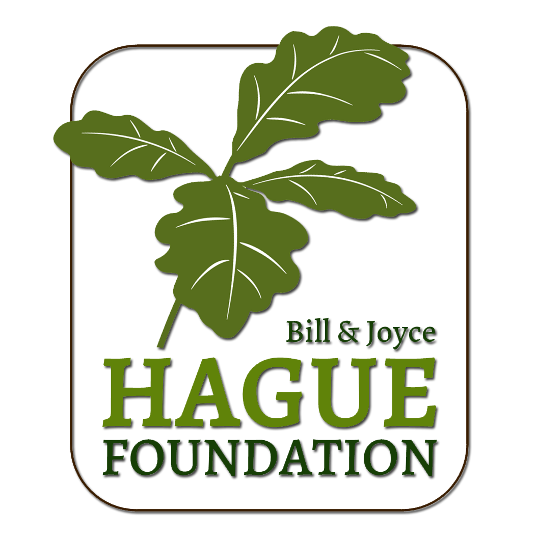 The Hague Foundation Logo